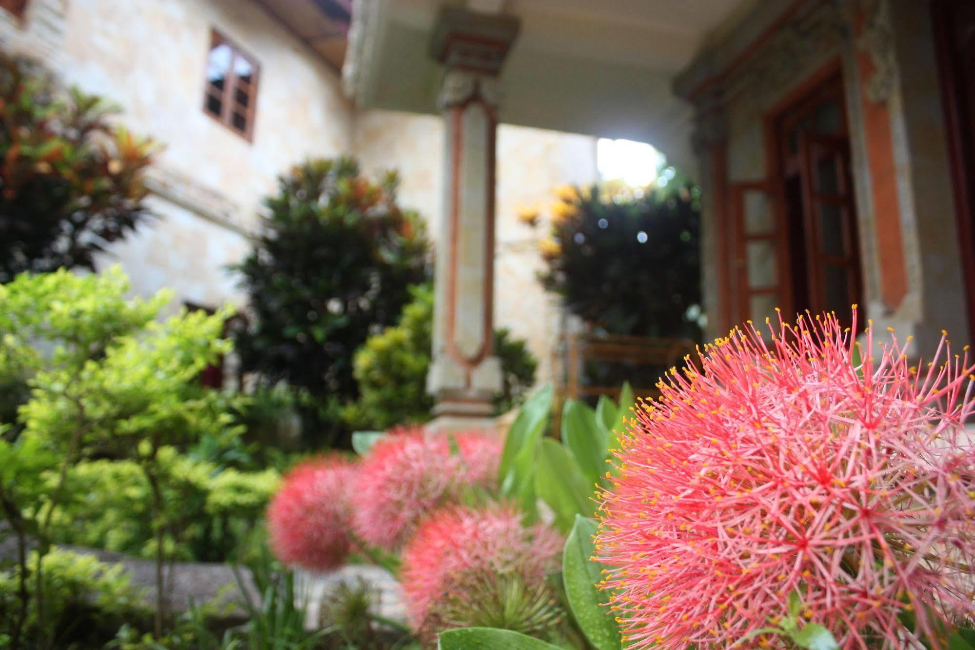 لوفينا Rambutan Boutique Hotel المظهر الخارجي الصورة